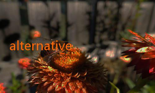 alternative nowgoal-Madura United Targetkan Clean Sheet Lawan Persita: Semangat Baru di Liga 1