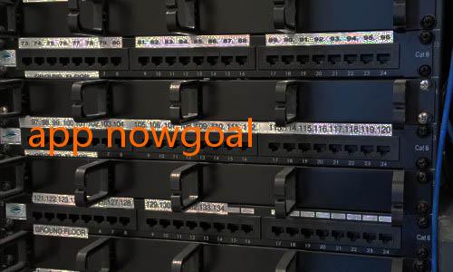 app nowgoal-Persija Harus Waspadai Pemain Asing Lawan: Tantangan Baru di Kompetisi Nasional