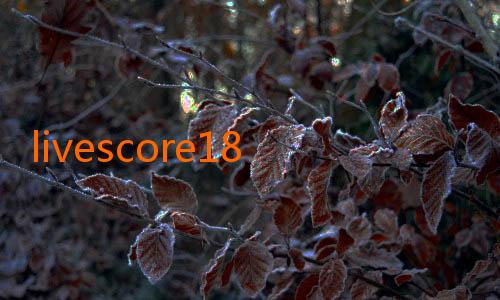 livescore18 goaloo nowgoal-Menelusuri Pesona NowGoal Goalo: Sensasi, Prediksi, dan Budaya Sepak Bola