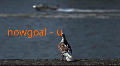 nowgoal - unogoal-Jalalive Parlay: Menyelami Kehidupan yang Berlapis Peluang