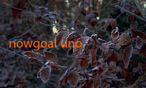 nowgoal unogoal-Menyelami Dunia M Nowgoal: Menjadi Penggemar Sepak Bola Digital yang Mengasyikkan