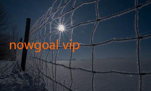 nowgoal vip-Menikmati Kemudahan Prediksi Bola Melalui Nowgoal Terbaru Mobile yang Seru
