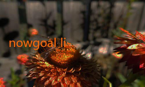 nowgoal li-Bali United Ingin Kunci Tiga Poin Sejak Babak Pertama: Strategi dan Semangat Tim untuk Meraih Kendali Penuh