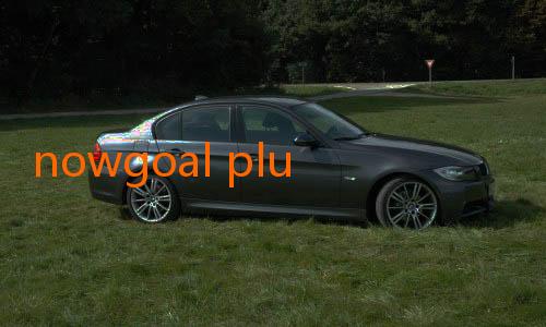 nowgoal plus-Warriors Fokus Perbaiki Pertahanan Lawan Pelicans: Strategi dan Inspirasi di Balik Layar