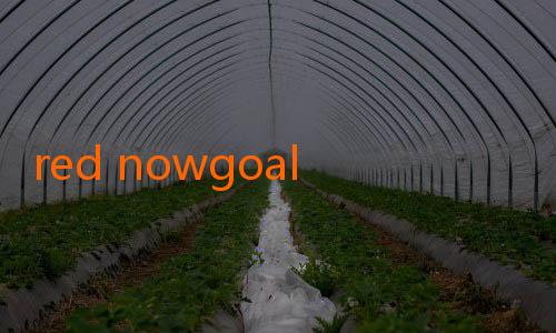 red nowgoal-PSM Makassar Targetkan Tiga Poin di Laga Kandang: Semangat untuk Kembali ke Puncak