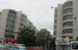 國貿中心旁日新商業街精裝2室帶家具家電出租